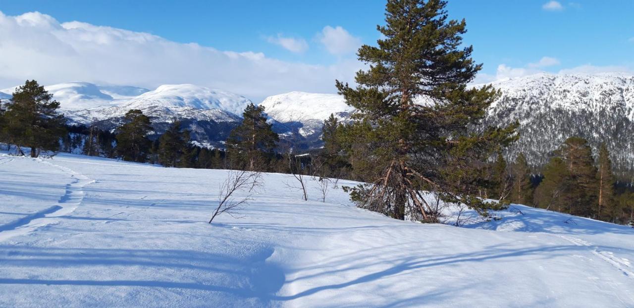 Stalheim Fjord og Fjellhytter Exterior foto