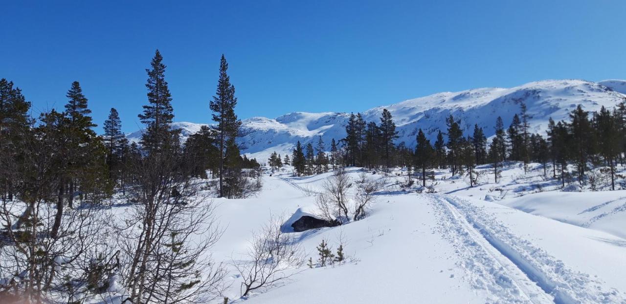 Stalheim Fjord og Fjellhytter Exterior foto